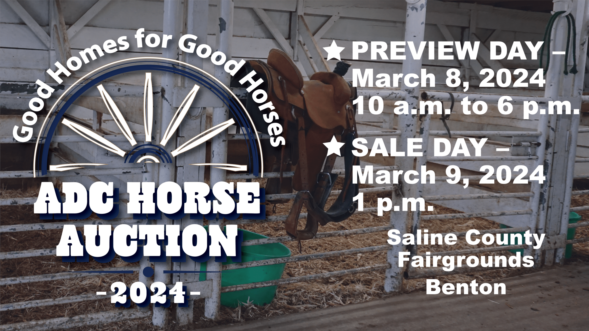 Horse Auction 2024 - Arkansas Department of Corrections