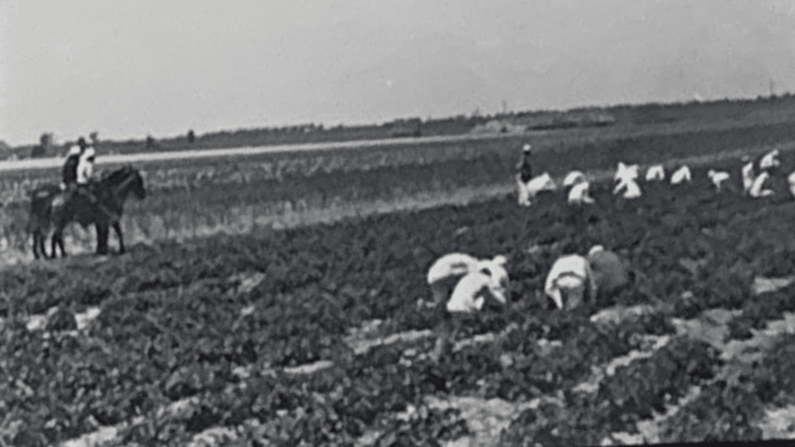 Tucker Farm - 1929
