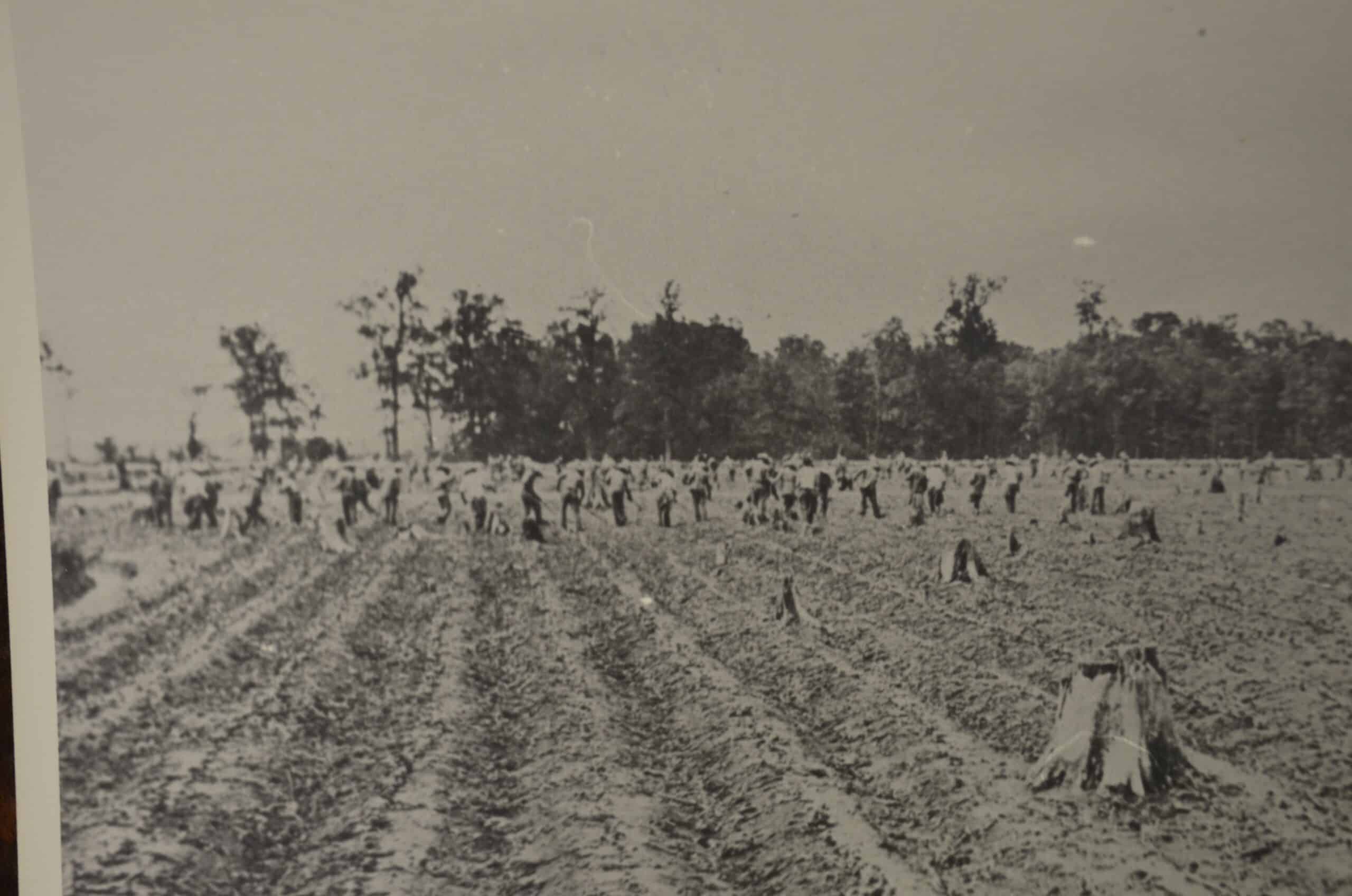 Tucker Farm - 1940s